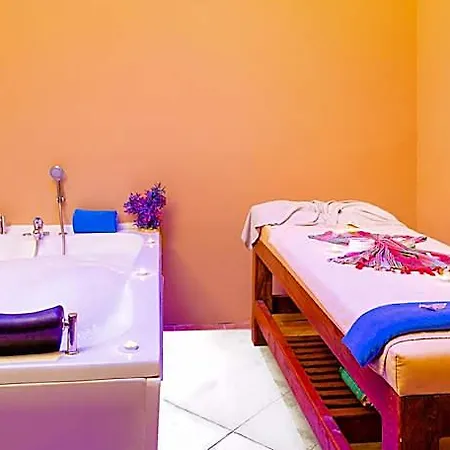 Loxia Comfort Αλάνια